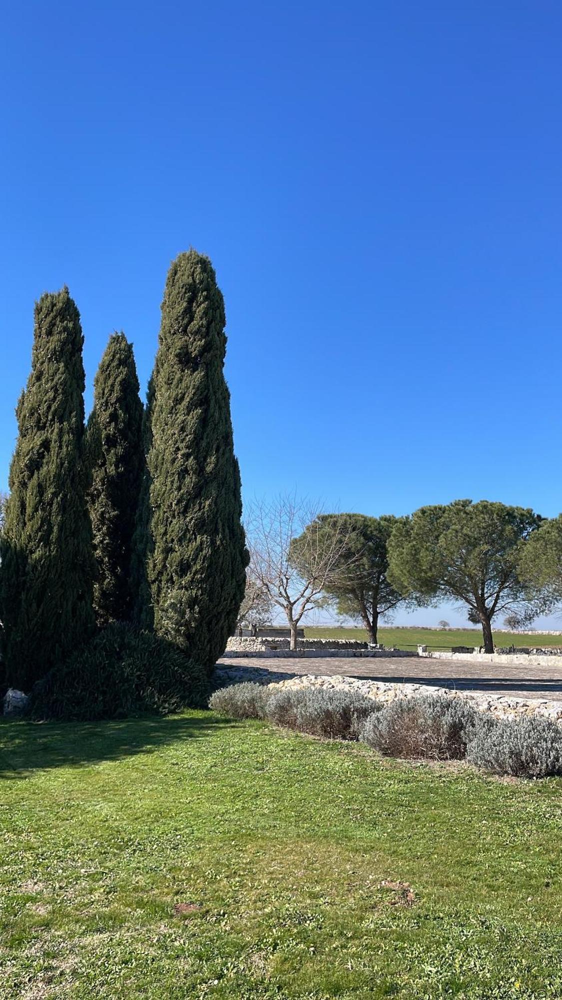 Trulli La Mandra Villa Noci Dış mekan fotoğraf